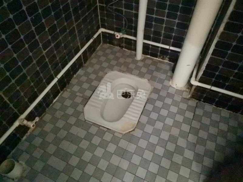 沙涌坊北大街五巷5号7775984卫生间图12