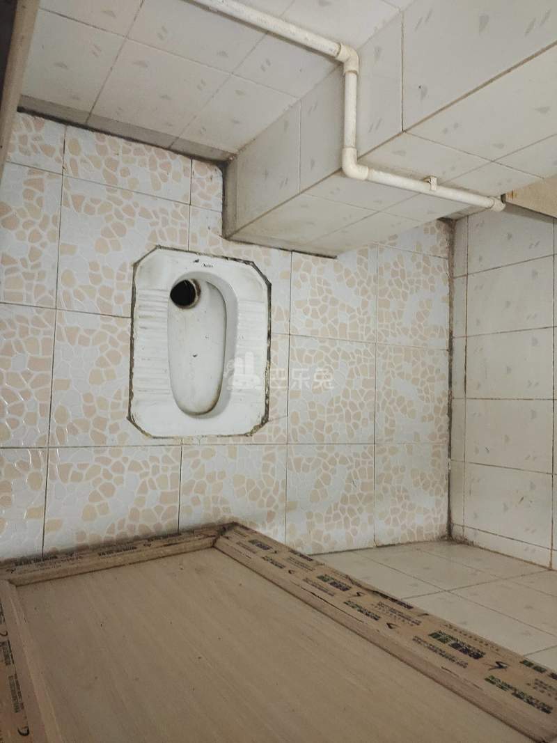 程界东大巷41号7794245卫生间图5