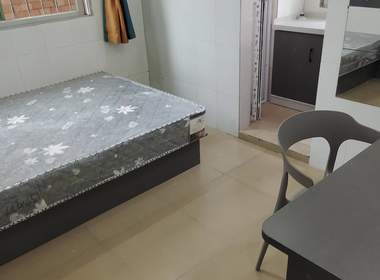 员村松岗园七巷3号 