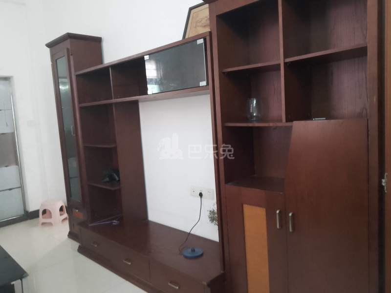 龙洞环村南街25号7803538客厅图5