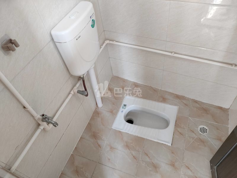 河村东路西横街二巷2号7805243卫生间图7