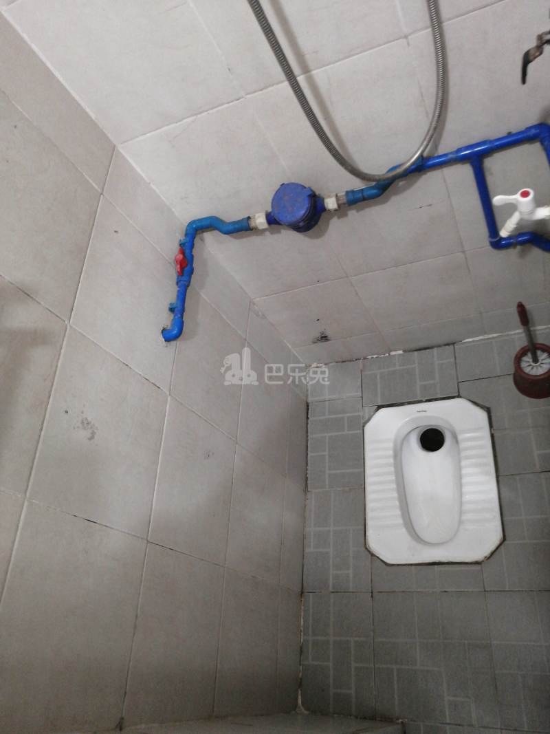 江夏大塘大街11号7841002卫生间图5