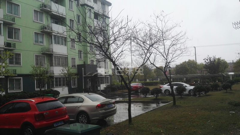 闵浦新苑一村13950920周边环境图8