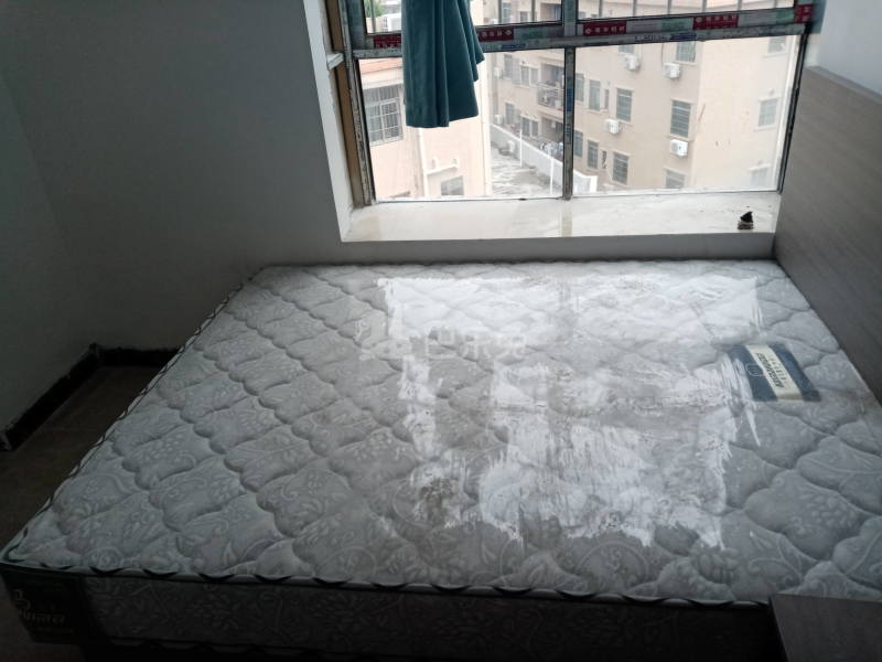 嘉禾望岗南街一巷20号7873695卧室图11