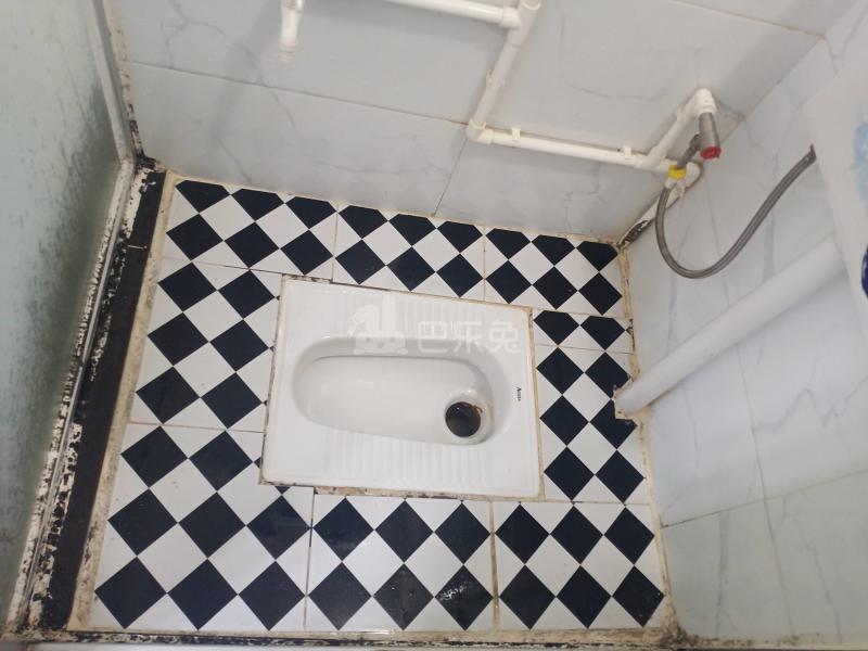 天河花园7874833卫生间图5