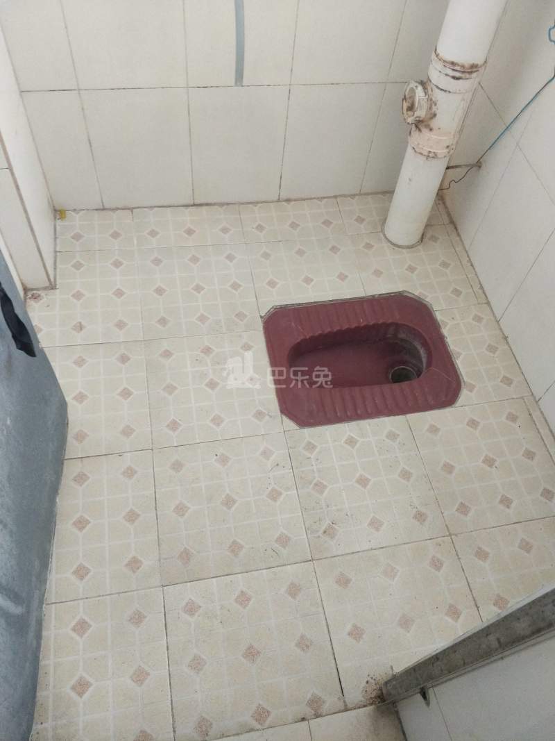 沙涌北大岭三巷5号7907248卫生间图6