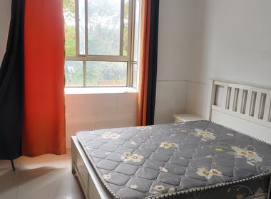 杨巷东区（明珠路516弄）（预计26 年4月-6月拆迁） 