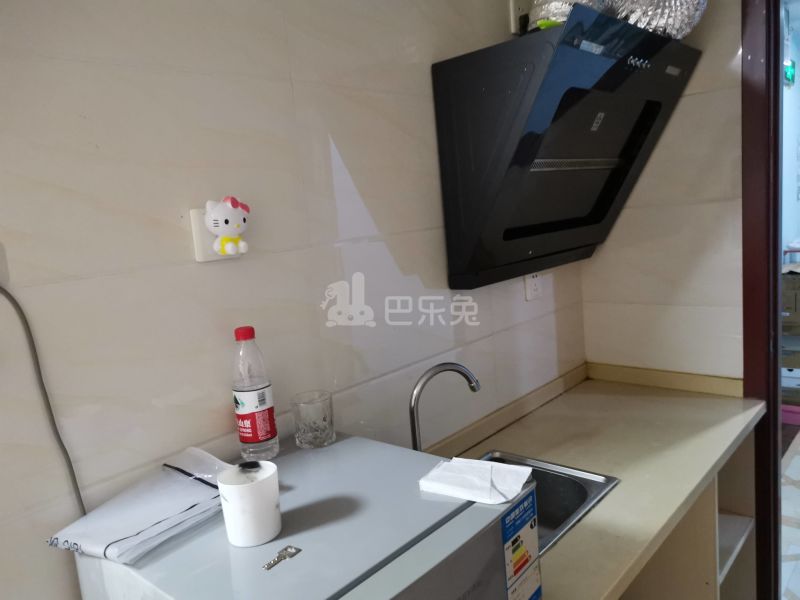 张桥小区（佳林路600号）793003厨房图4