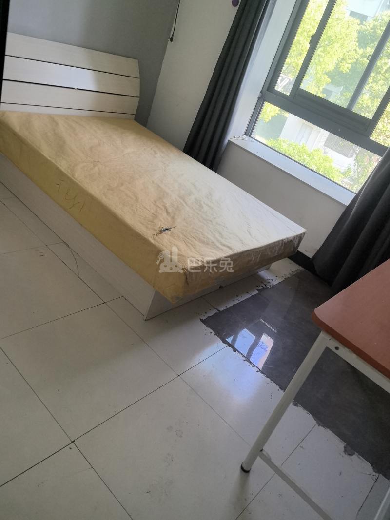 华泾绿苑8026155卧室图3