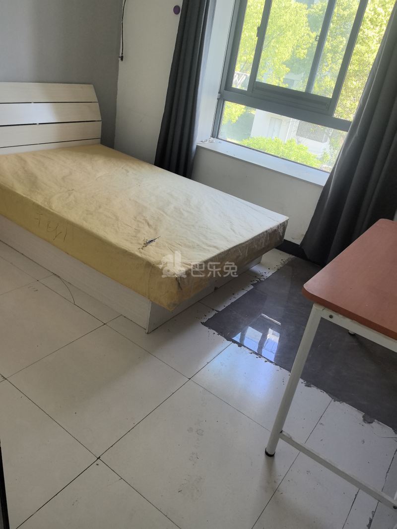 华泾绿苑8026155卧室图1