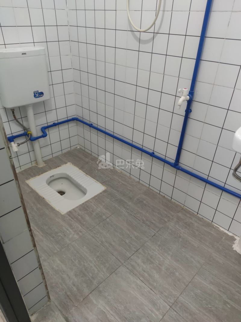 棠景街道棠溪村四马通津路16号8056231卫生间图6