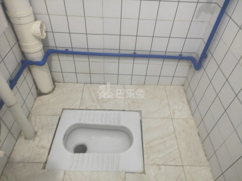 棠景街道棠溪村四马通津路16号8056244卫生间图4