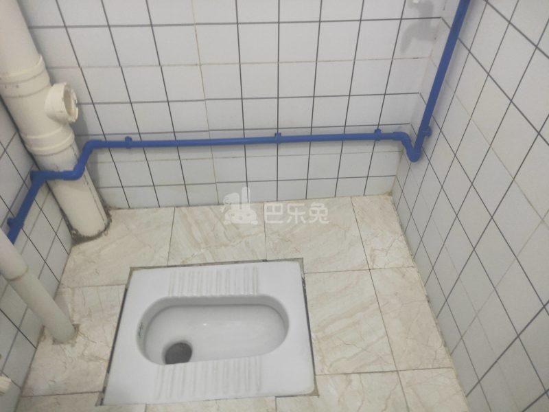 棠景街道棠溪村四马通津路16号8056244卫生间图5