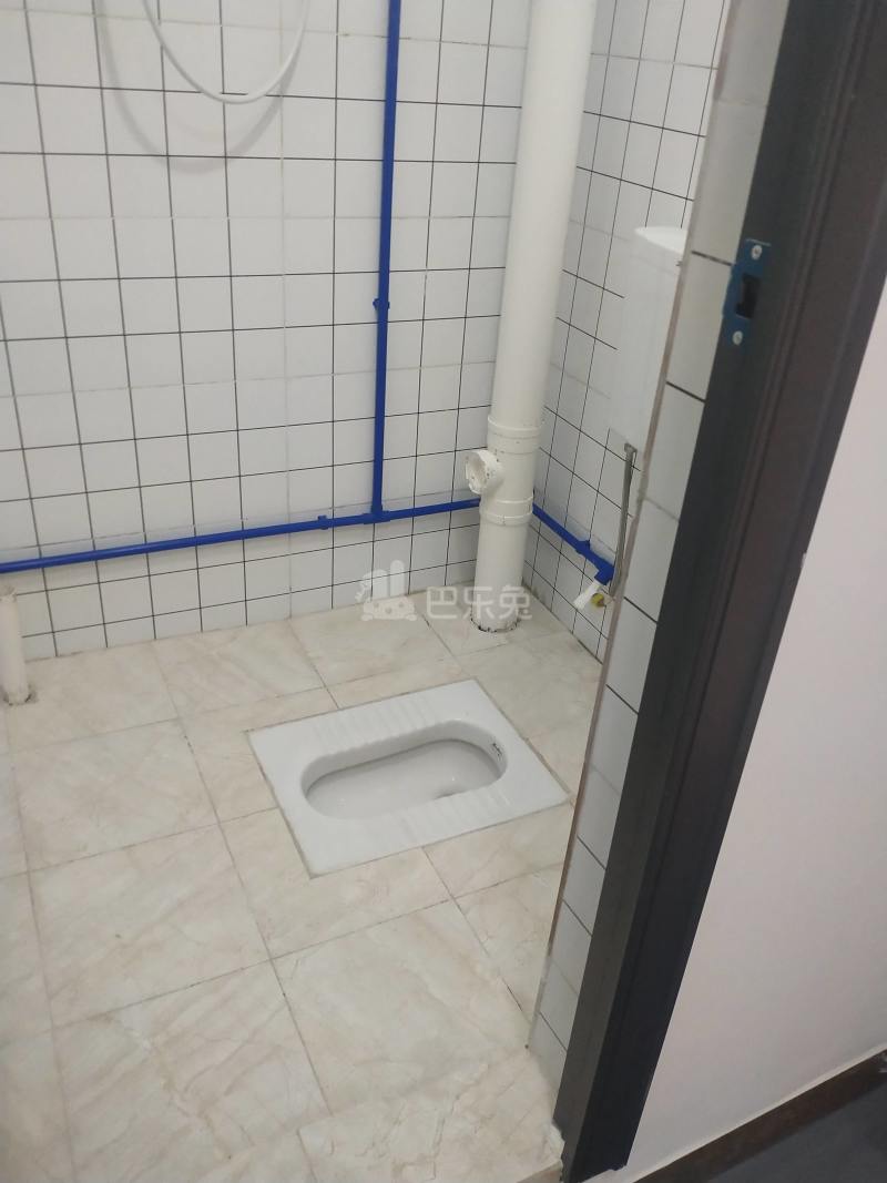 棠景街道棠溪村四马通津路16号8056263卫生间图5