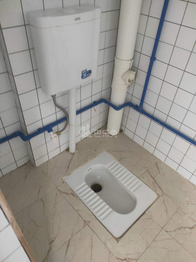 棠景街道棠溪村四马通津路16号8056284卫生间图4