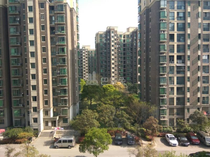 志成花苑知雅汇550538周边环境图13