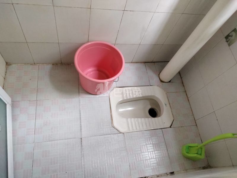 鹅掌坦西街40-1号8067328卫生间图6