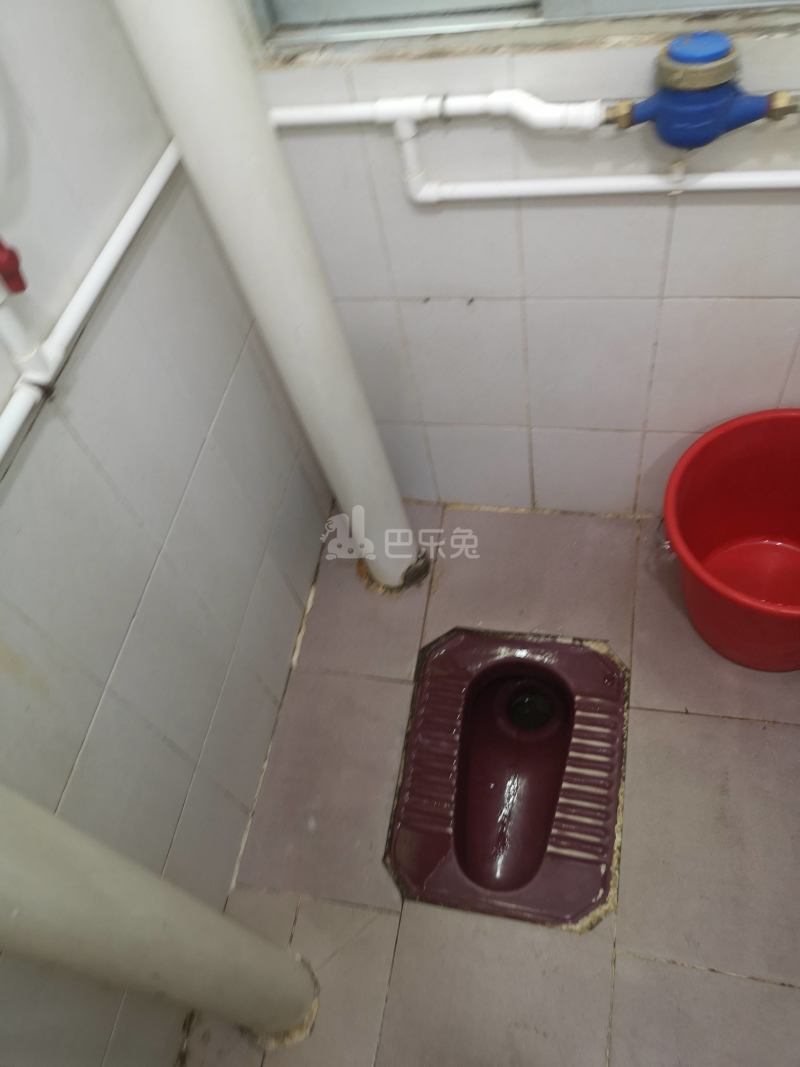 鹅掌坦西街40-1号8067329卫生间图5