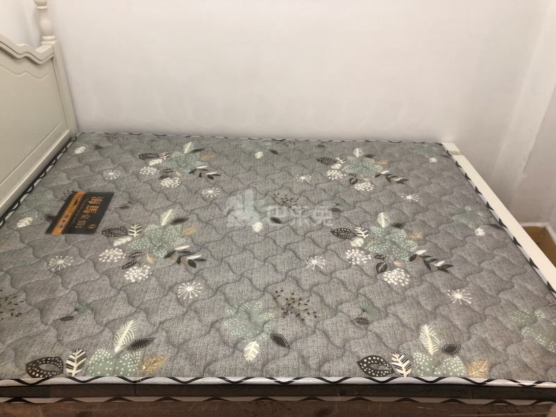 鹅掌坦西街40-1号8067343卧室图4