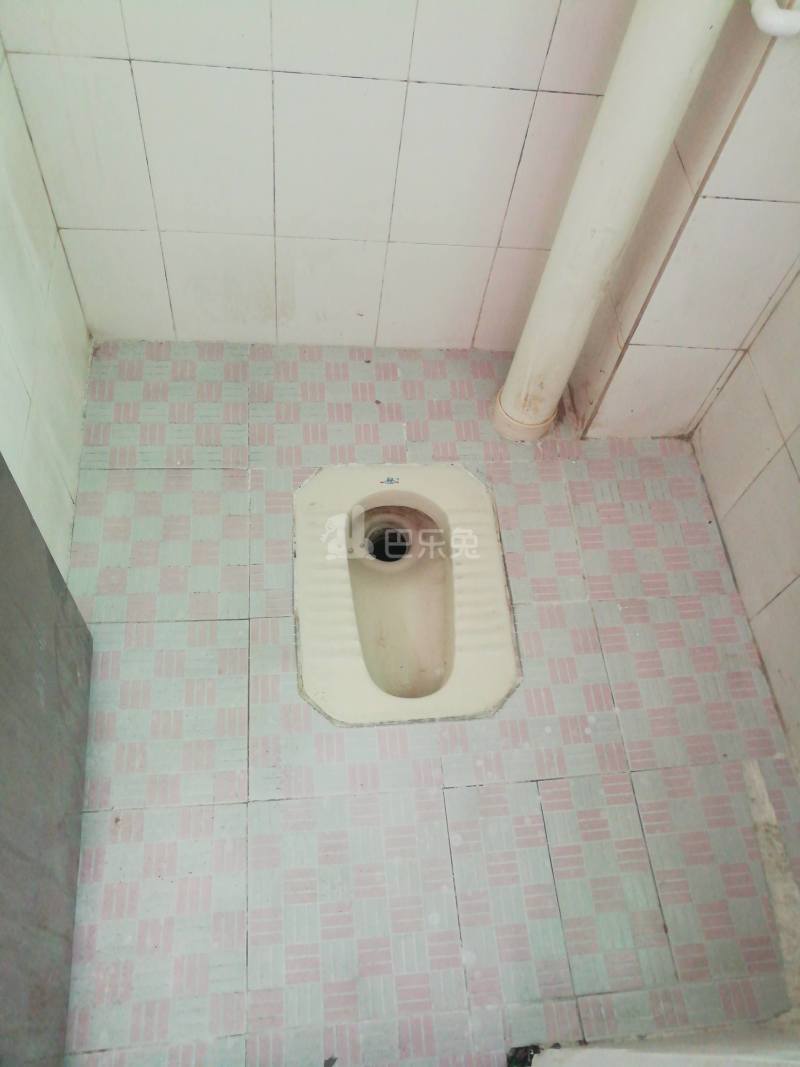 鹅掌坦西街40号8067360卫生间图3