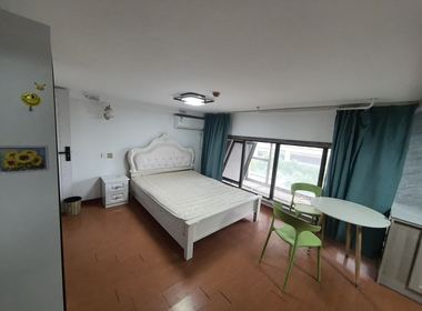 青浦绿地中心柏源晶舍 1室0厅1卫