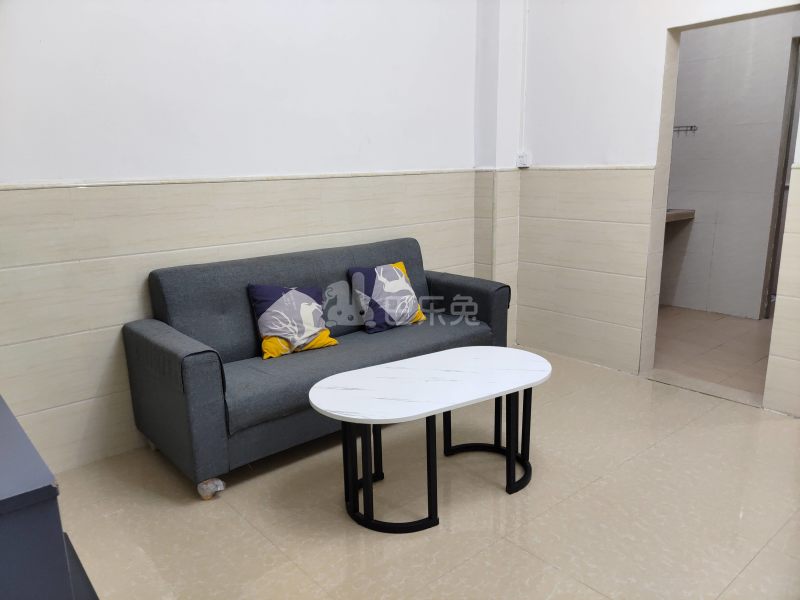 上元岗平安巷12号8091752客厅图4