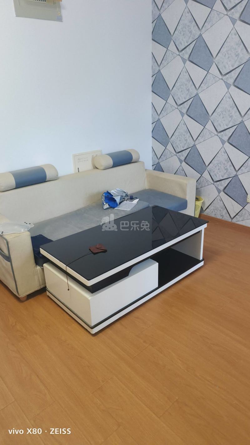 丰和雅苑8110510客厅图4