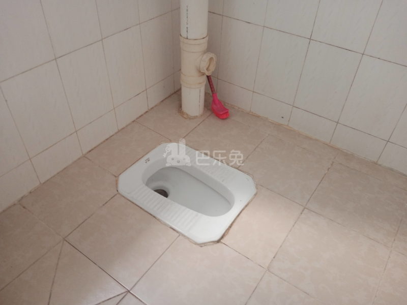 珠村中东新街十五巷6号8117174卫生间图6