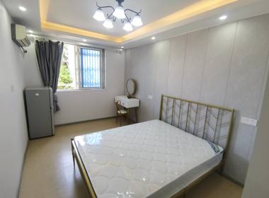 杨新路80弄小区 