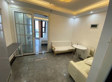 领峰国际（天工国际大厦） 1室1厅1卫