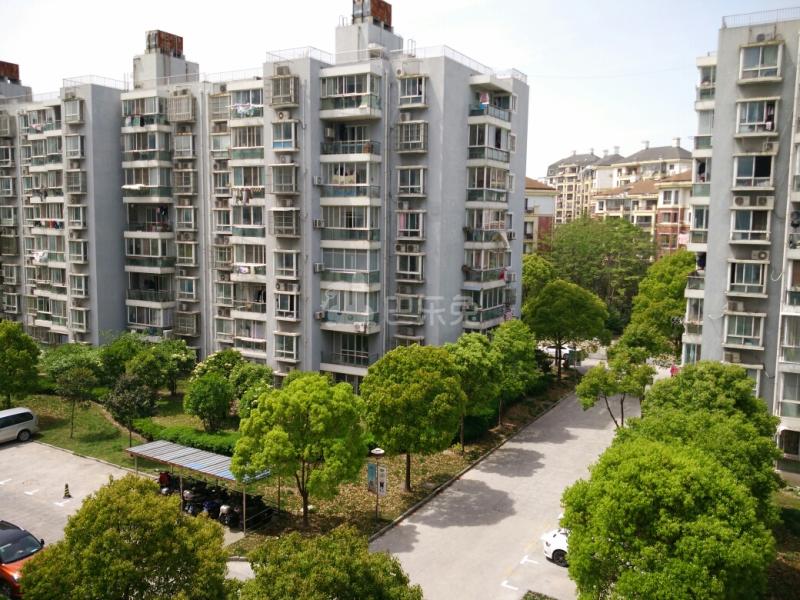 金东名苑西区8117287周边环境图6