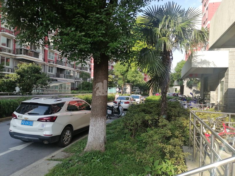 金桥和苑818957周边环境图15