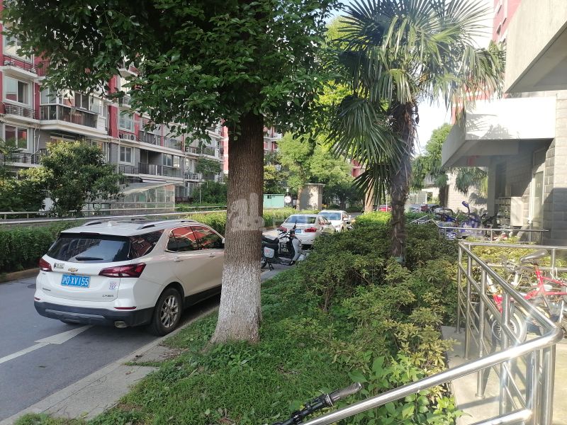 金桥和苑818957周边环境图16