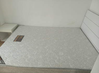 南约大街11号 2室1厅1卫