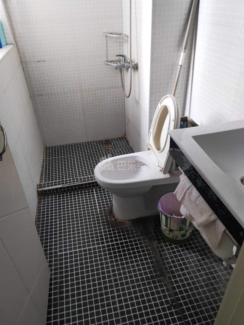 盘古天地西区8203756卫生间图9