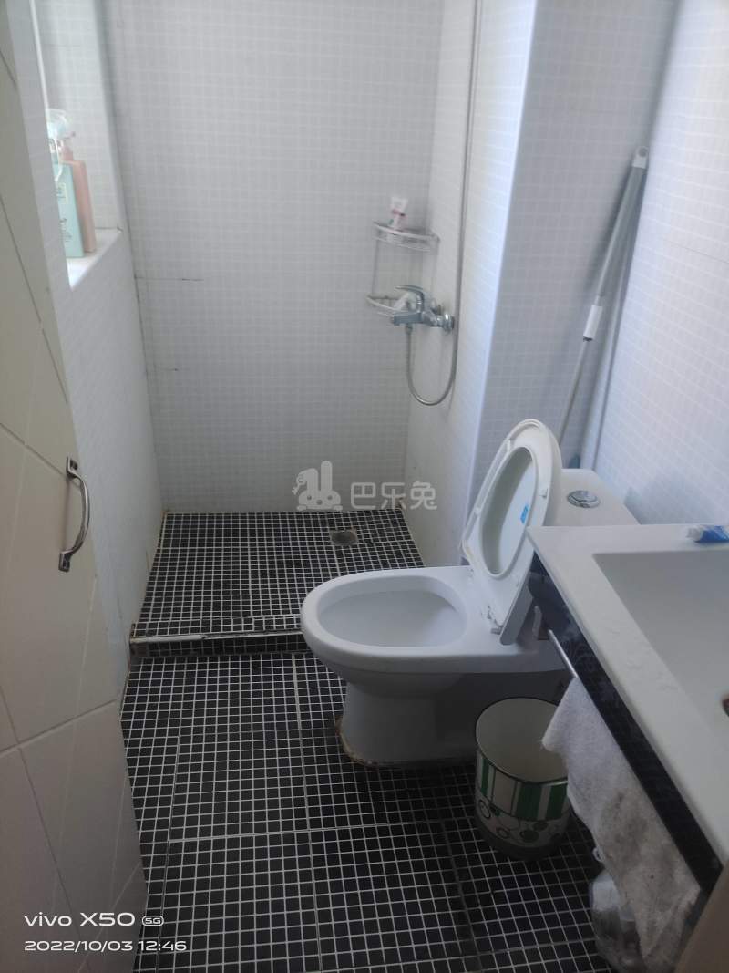 盘古天地西区8203756卫生间图10