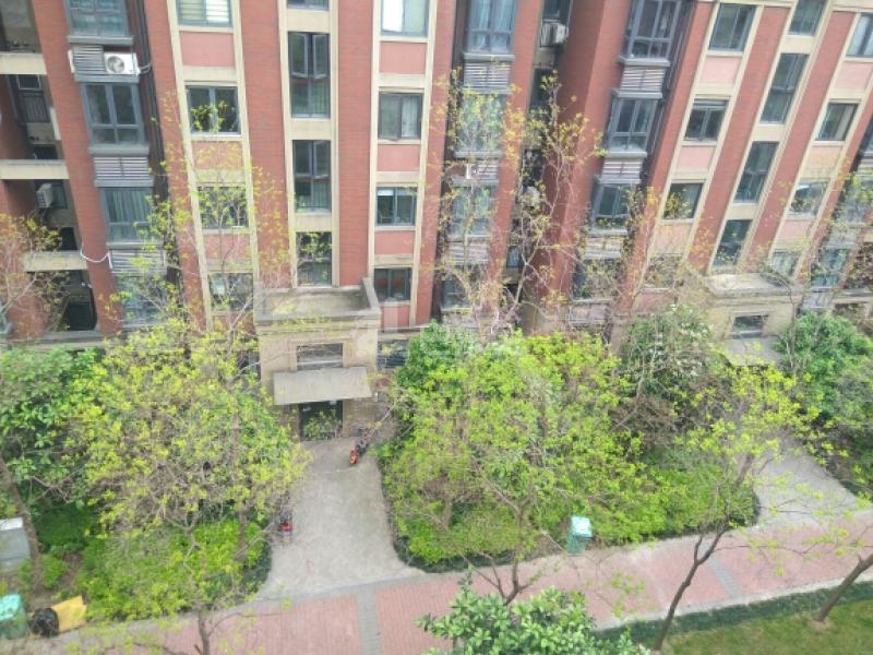 美兰湖中华园8635864周边环境图8