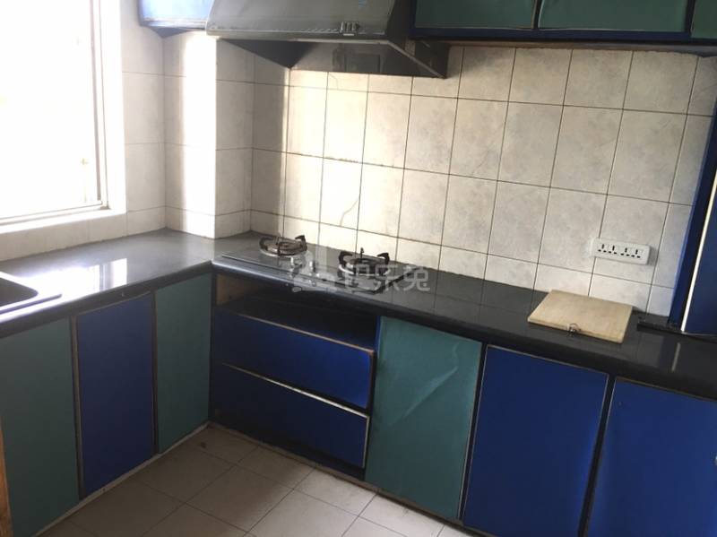 绿茵园小区8236289厨房图8