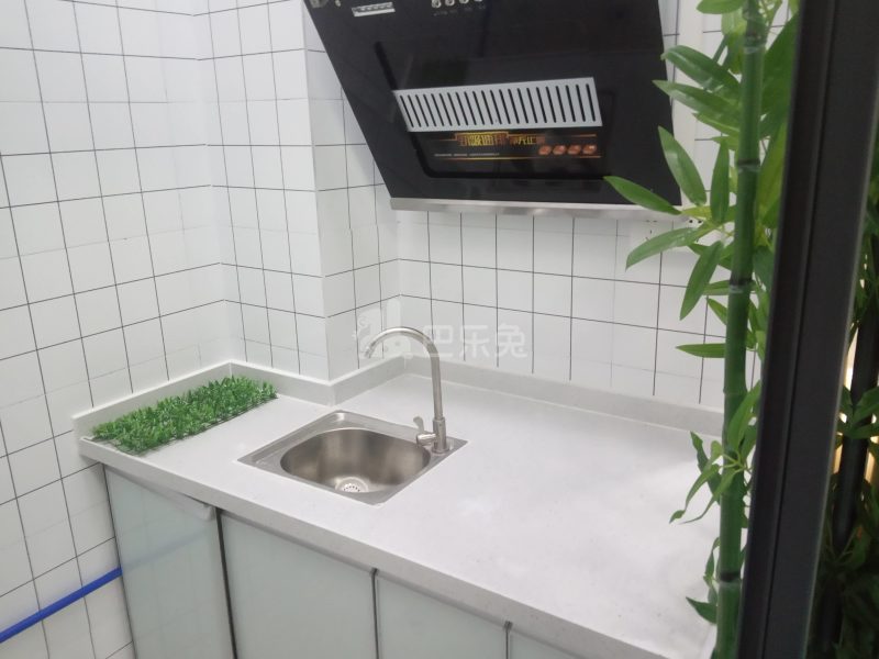 棠景街道棠溪村四马通津路16号8239815厨房图18