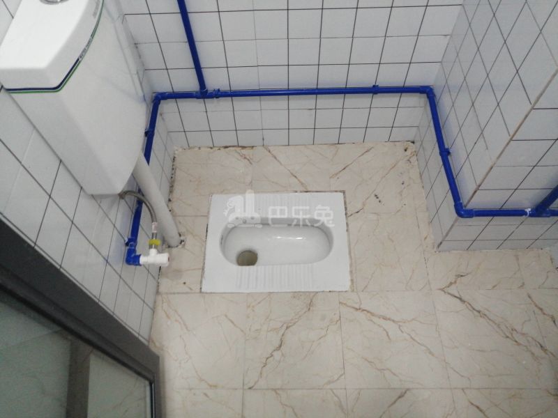 棠景街道棠溪村四马通津路16号8239815卫生间图23