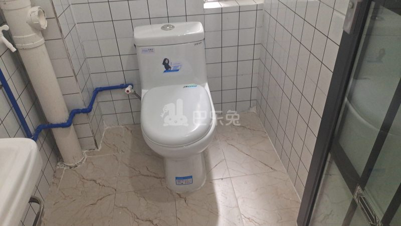 棠景街道棠溪村四马通津路16号8242786卫生间图41