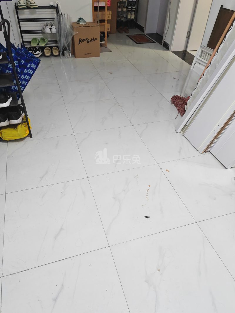 汶水东路541弄8287971客厅图4