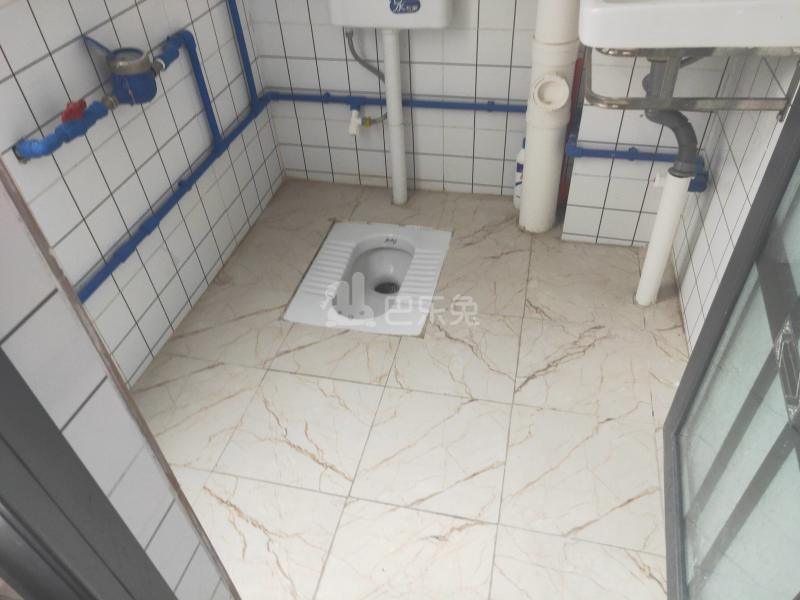 棠景街道棠溪村四马通津路16号8308220卫生间图4