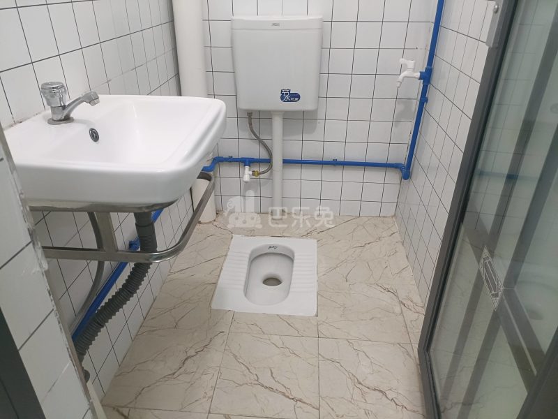 棠景街道棠溪村四马通津路16号8308231卫生间图4