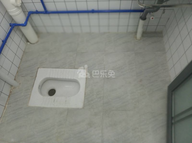 棠景街道棠溪村四马通津路16号8308238卫生间图9