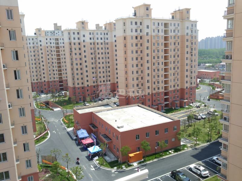 三林新村A区994739周边环境图13