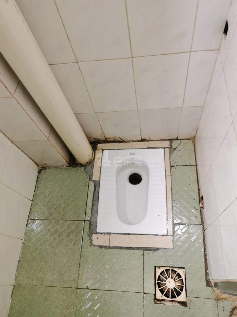 程界西石源大街二巷13号8329820卫生间图6