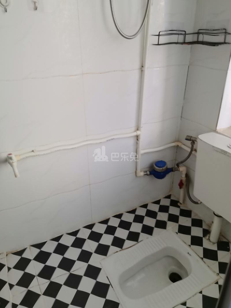 天河花园8346534卫生间图4