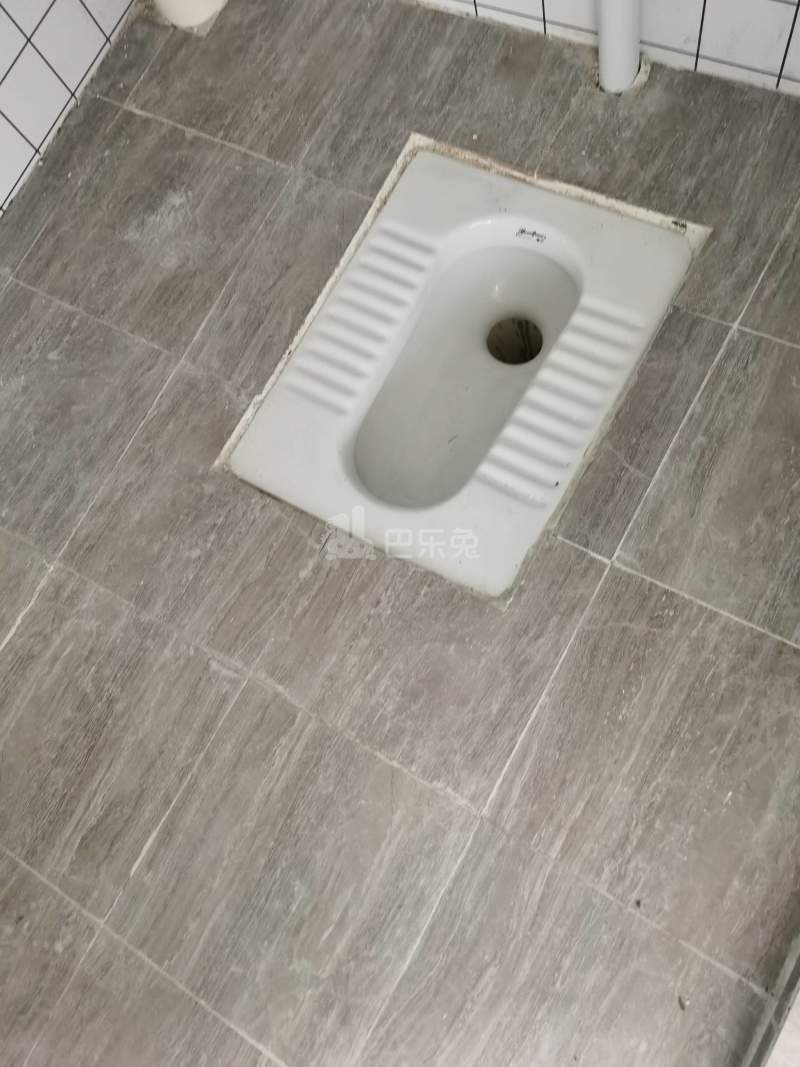 棠景街道棠溪村四马通津路16号8347929卫生间图8