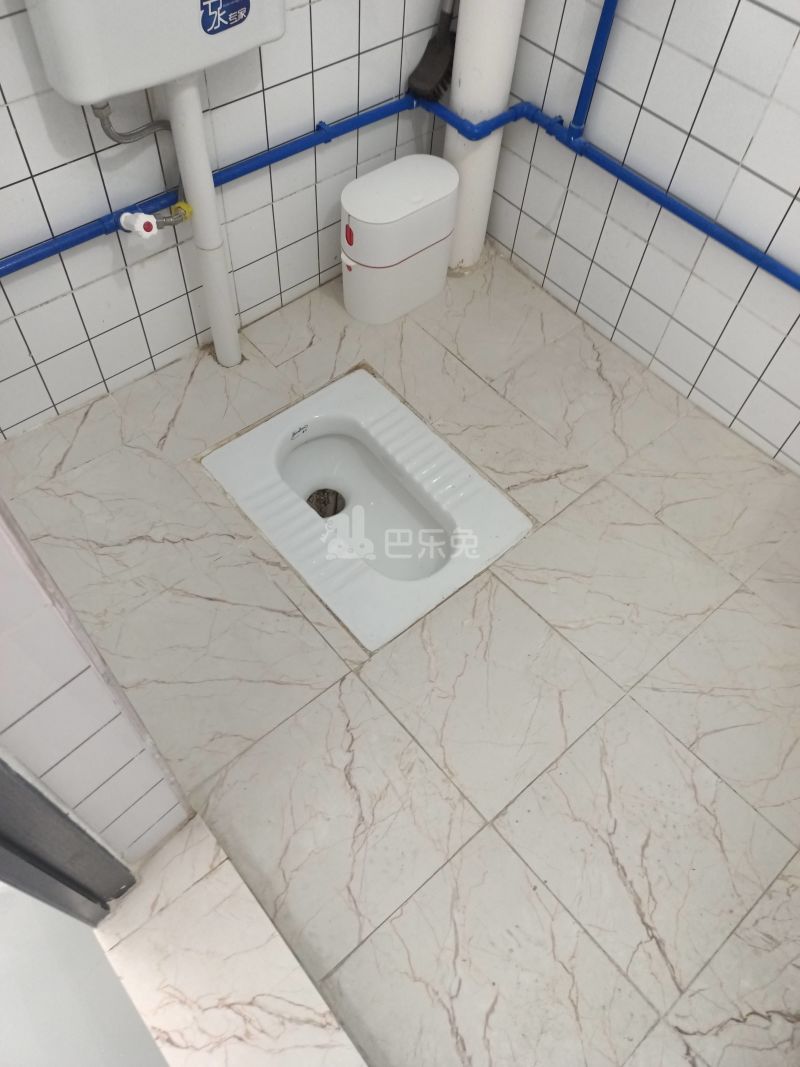 棠景街道棠溪村四马通津路16号8347938卫生间图5